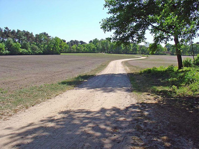 Wandern in Holland