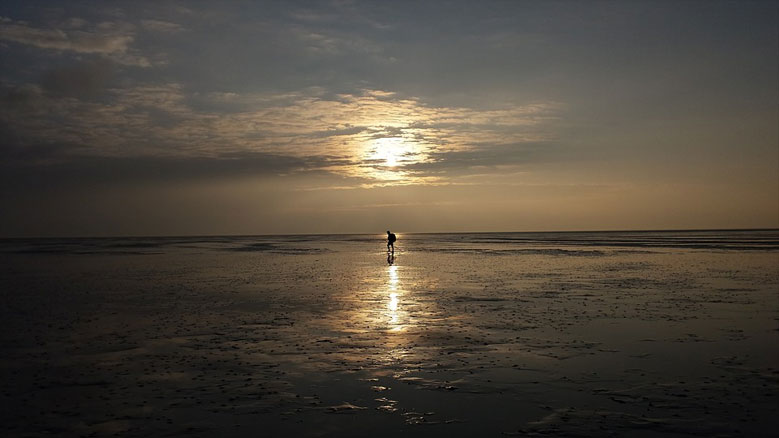 Wattwanderung in Holland