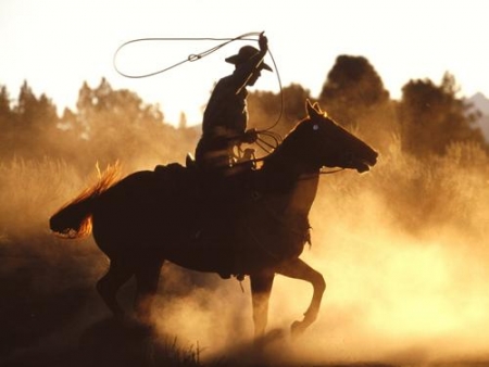 Cowboy Stuntshow, Freizeitpark Slagharen